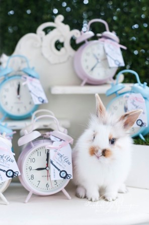 Alicja w Krainie Czarów - motyw przewodni ślubu i wesela 40