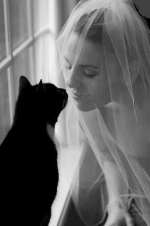 kocie wesele, koty na ślubie, koty jako motyw przewodni ślubu i wesela 1