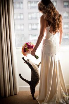 kocie wesele, koty na ślubie, koty jako motyw przewodni ślubu i wesela 16