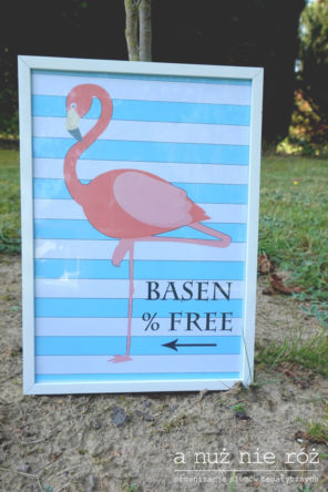 lamingi-i-ananasy-basen-impreza