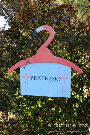 flamingi-i-ananasy-impreza-urodziny