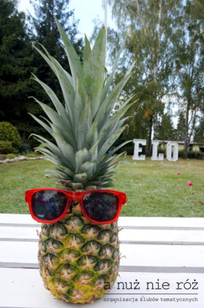 lamingi-i-ananasy-okulary-elo-impreza-urodziny-30