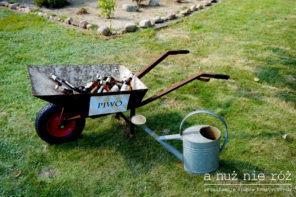 taczka-z-piwem-impreza-urodziny